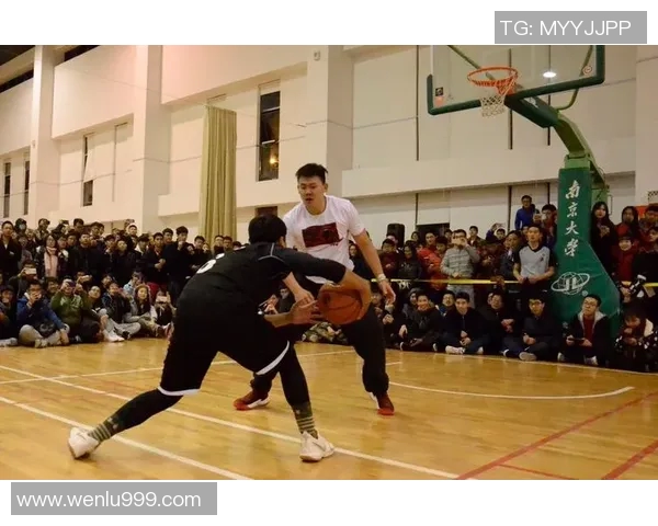 全明星街道篮球下载畅享热血对决体验尽在掌握之中 全明星街道篮球下载畅享热血对决体验尽在掌握之中