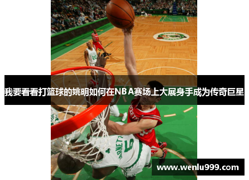 我要看看打篮球的姚明如何在NBA赛场上大展身手成为传奇巨星
