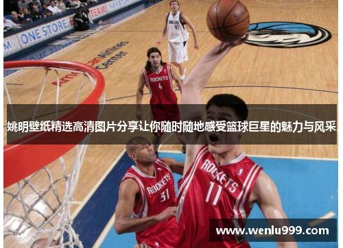 姚明壁纸精选高清图片分享让你随时随地感受篮球巨星的魅力与风采