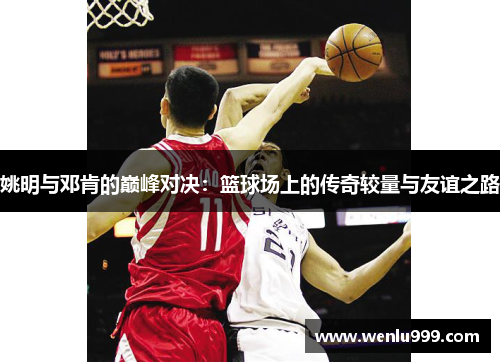 姚明与邓肯的巅峰对决：篮球场上的传奇较量与友谊之路