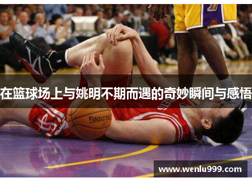 在篮球场上与姚明不期而遇的奇妙瞬间与感悟