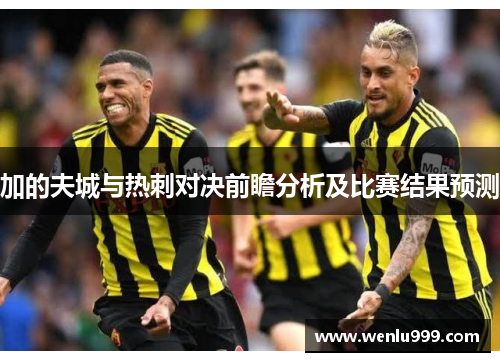 加的夫城与热刺对决前瞻分析及比赛结果预测